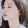 [STRAY KIDS LEE KNOW EARRINGS] TEAR OF GLACIER 1-POLAR BEAR Earrings