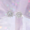 Snow Glitting Earrings