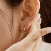 14k Everyday oval hoop earrings