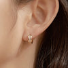 Wizzle Hoop Earrings
